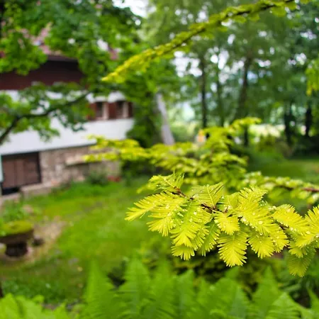 Japonicum Appartamento *