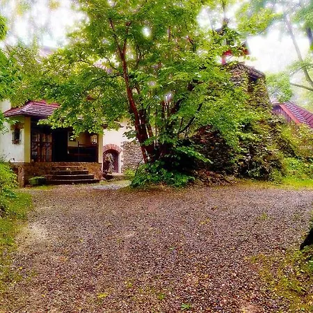 Japonicum Stronie Śląskie
